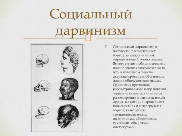 Социальный дарвинизм Социальный дарвинизм, в частности, рассматривает борьбу за выживание