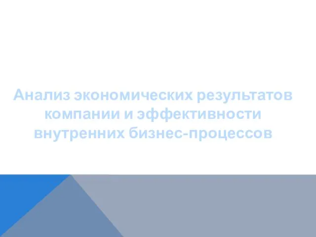 Анализ экономических результатов компании и эффективности внутренних бизнес-процессов