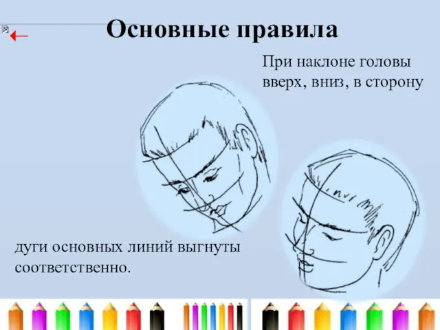 дуги основных линий выгнуты соответственно. Основные правила При наклоне головы вверх, вниз, в сторону