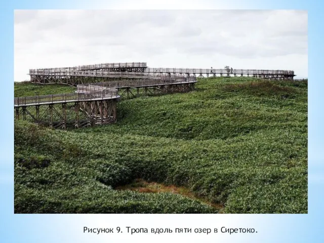 Рисунок 9. Тропа вдоль пяти озер в Сиретоко.