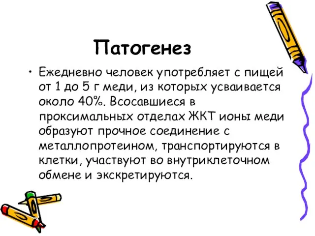 Патогенез Ежедневно человек употребляет с пищей от 1 до 5 г меди, из