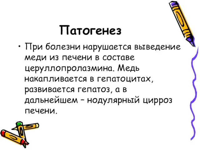 Патогенез При болезни нарушается выведение меди из печени в составе церуллопролазмина. Медь накапливается