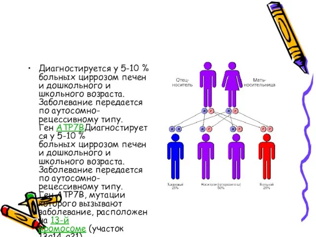 Диагностируется у 5-10 % больных циррозом печени дошкольного и школьного