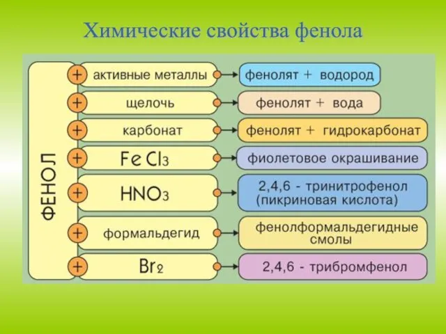 Химические свойства фенола