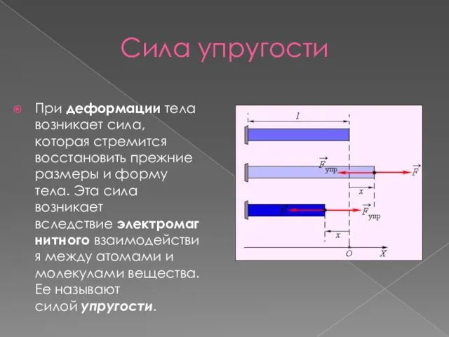 Сила упругости При деформации тела возникает сила, которая стремится восстановить