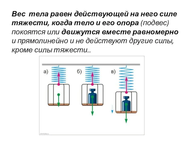 Вес тела равен действующей на него силе тяжести, когда тело