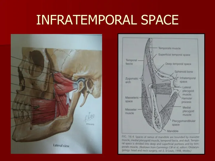 INFRATEMPORAL SPACE