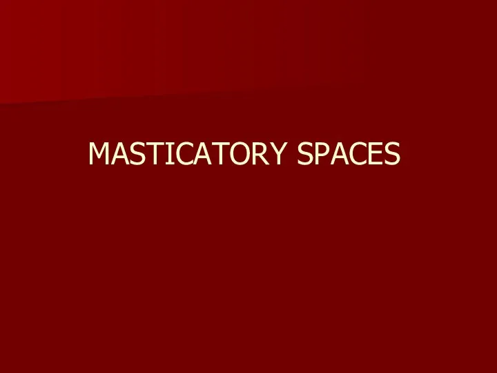 MASTICATORY SPACES