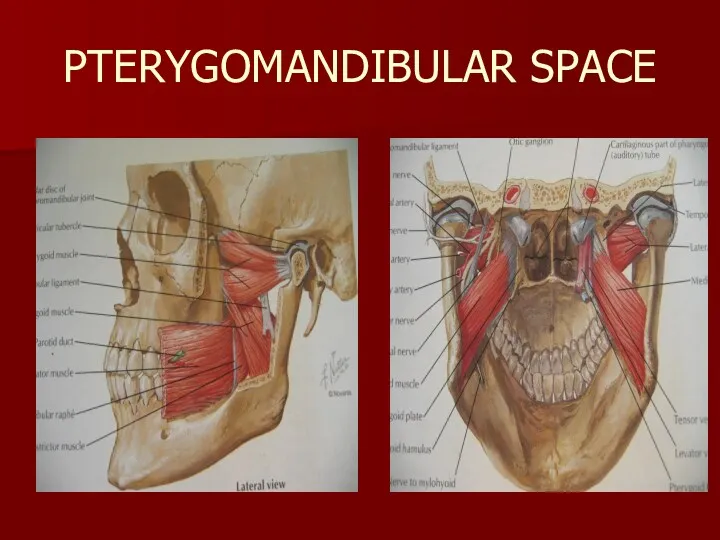 PTERYGOMANDIBULAR SPACE