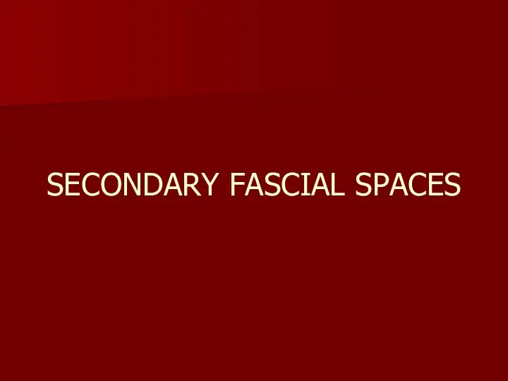 SECONDARY FASCIAL SPACES