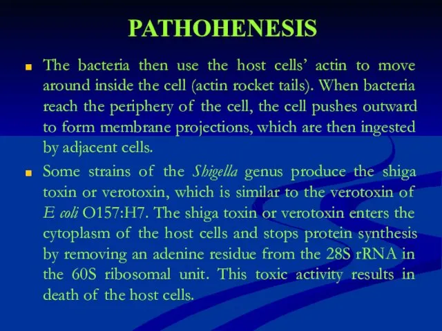 PATHOHENESIS The bacteria then use the host cells’ actin to