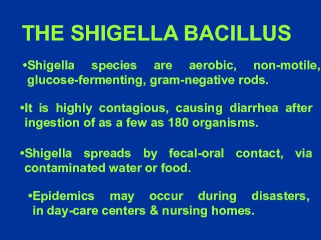 Shigella species are aerobic, non-motile, glucose-fermenting, gram-negative rods. THE SHIGELLA