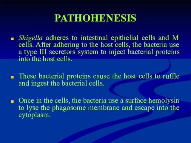 PATHOHENESIS Shigella adheres to intestinal epithelial cells and M cells.
