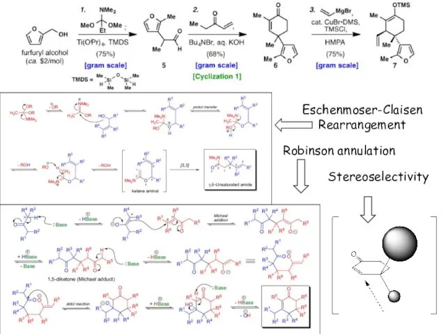 Eschenmoser-Claisen Rearrangement Robinson annulation Stereoselectivity
