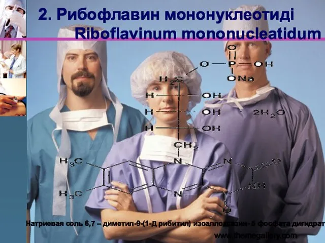 www.themegallery.com 2. Рибофлавин мононуклеотиді Riboflavinum mononucleatidum Натриевая соль 6,7 – диметил-9-(1-Д рибитил) изоаллоксазин- 5 фосфата дигидрат