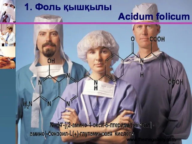 www.themegallery.com Acidum folicum 1. Фоль қышқылы