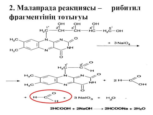 2. Малапрада реакциясы – рибитил фрагментінің тотығуы