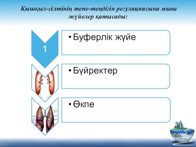 Қышқыл-сілтінің тепе-теңдігін регуляциясына мына жүйелер қатысады: