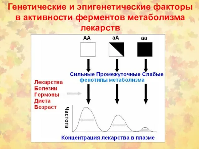 Генетические и эпигенетические факторы в активности ферментов метаболизма лекарств