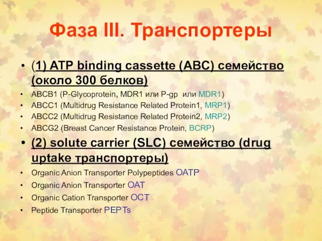 Фаза III. Транспортеры (1) ATP binding cassette (ABC) семейство (около