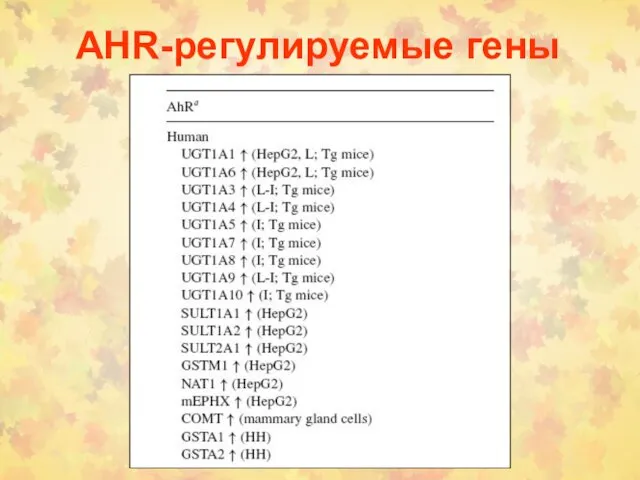 AHR-регулируемые гены