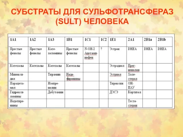 СУБСТРАТЫ ДЛЯ СУЛЬФОТРАНСФЕРАЗ (SULT) ЧЕЛОВЕКА