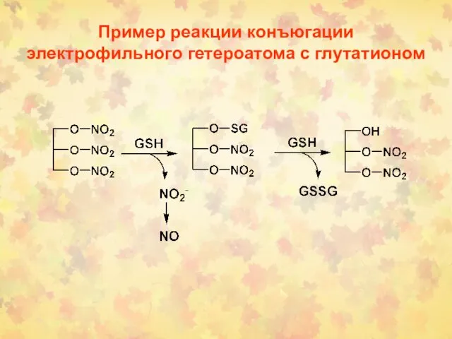 Пример реакции конъюгации электрофильного гетероатома с глутатионом