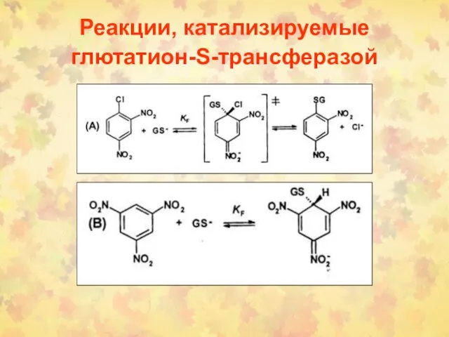 Реакции, катализируемые глютатион-S-трансферазой