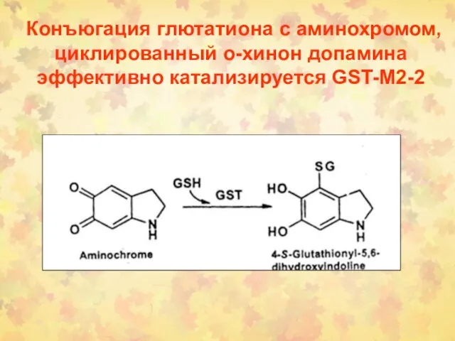 Конъюгация глютатиона с аминохромом, циклированный о-хинон допамина эффективно катализируется GST-M2-2