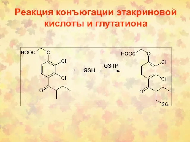 Реакция конъюгации этакриновой кислоты и глутатиона