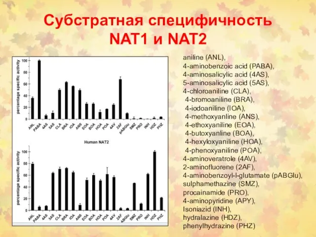 Субстратная специфичность NAT1 и NAT2 aniline (ANL), 4-aminobenzoic acid (PABA),