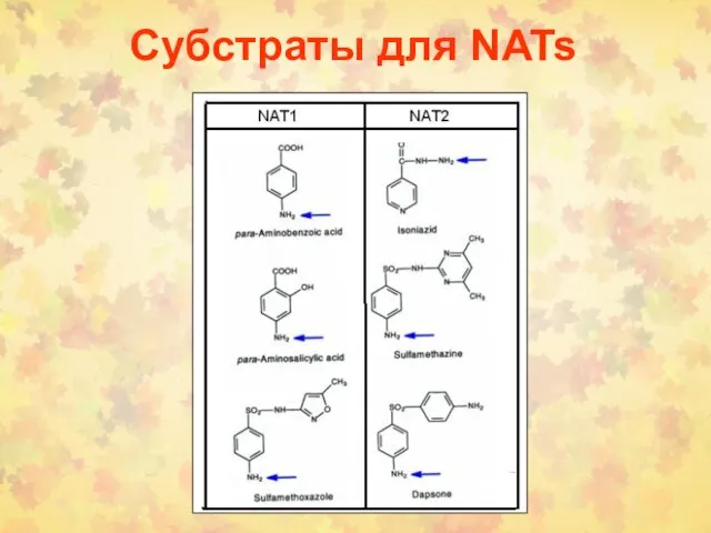 Субстраты для NATs