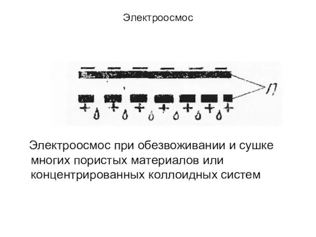 Электроосмос Электроосмос при обезвоживании и сушке многих пористых материалов или концентрированных коллоидных систем