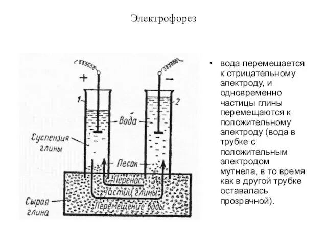 Электрофорез вода перемещается к отрицательному электроду, и одновременно частицы глины перемещаются к положительному
