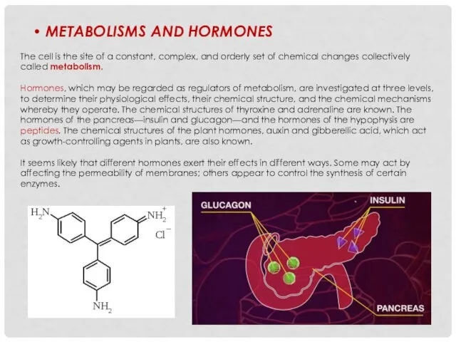 METABOLISMS AND HORMONES The cell is the site of a constant, complex, and