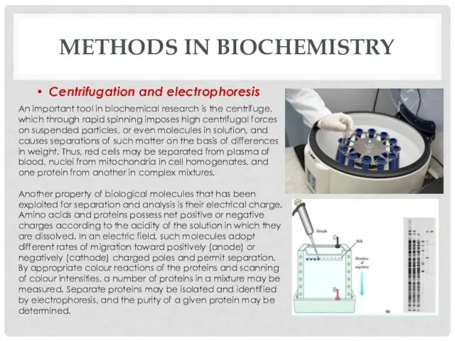 METHODS IN BIOCHEMISTRY An important tool in biochemical research is the centrifuge, which