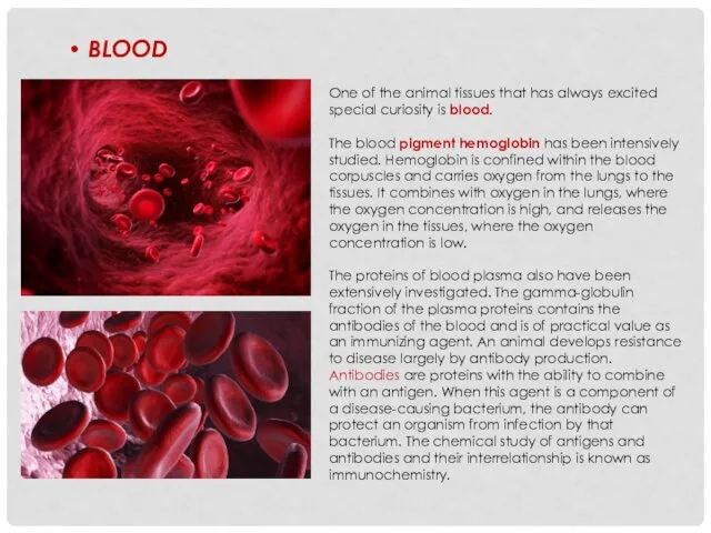 BLOOD One of the animal tissues that has always excited special curiosity is