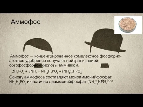 Аммофос Аммофос — концентрированное комплексное фосфорно-азотное удобрение получают нейтрализацией ортофосфорной