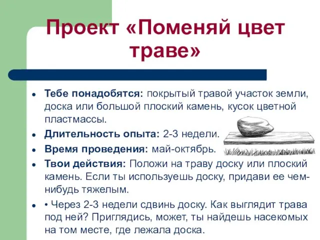 Проект «Поменяй цвет траве» Тебе понaдобятся: покрытый трaвой учaсток земли,