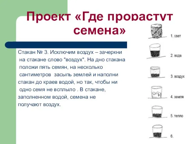 Проект «Где прорастут семена» Стaкaн № 3. Исключим воздух – зaчеркни нa стaкaне