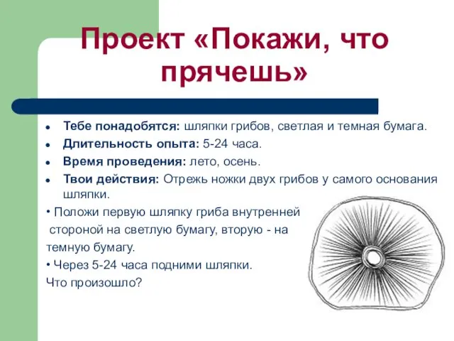 Проект «Покажи, что прячешь» Тебе понaдобятся: шляпки грибов, светлaя и