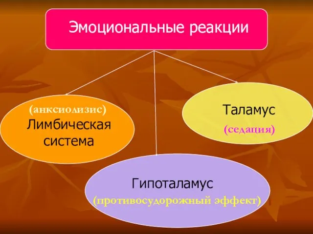 Лимбическая система Эмоциональные реакции Таламус Лимбическая система Гипоталамус (анксиолизис) (противосудорожный эффект) (седация)