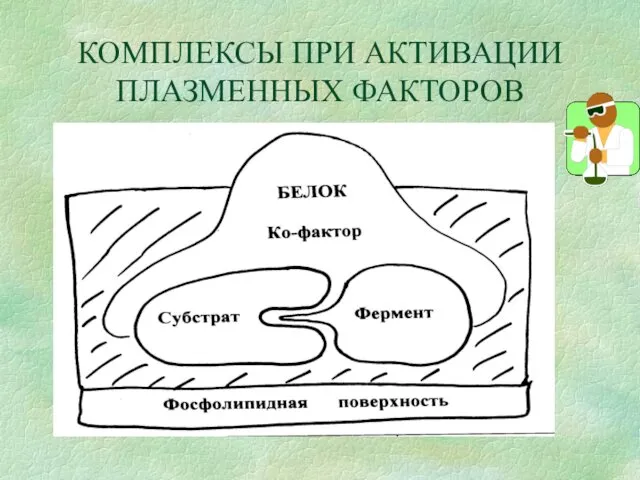 КОМПЛЕКСЫ ПРИ АКТИВАЦИИ ПЛАЗМЕННЫХ ФАКТОРОВ