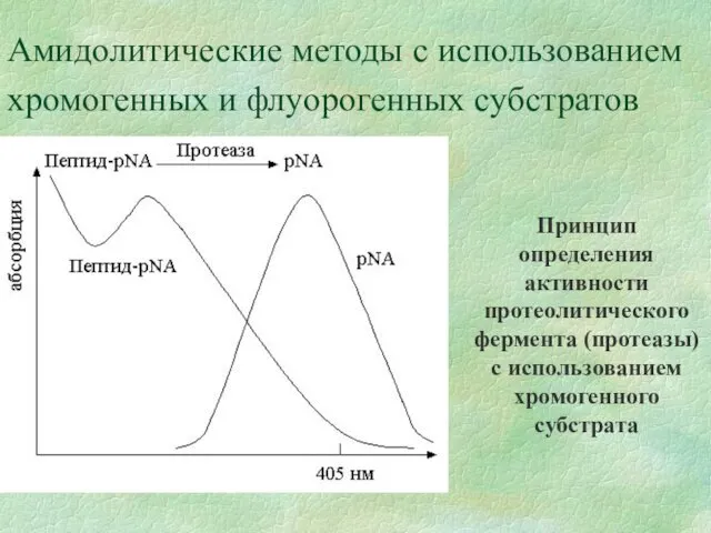 Амидолитические методы с использованием хромогенных и флуорогенных субстратов Принцип определения