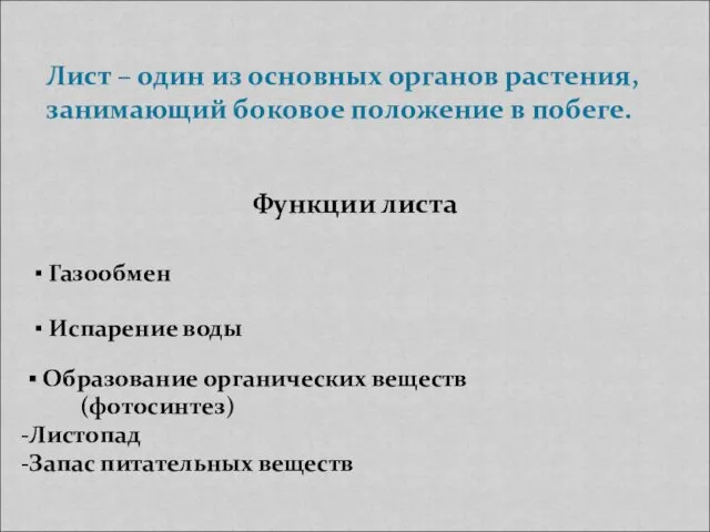 Лист – один из основных органов растения, занимающий боковое положение