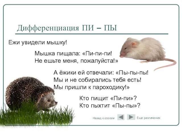 А ёжики ей отвечали: «Пы-пы-пы! Мы и не собирались тебя есть! Мы пришли