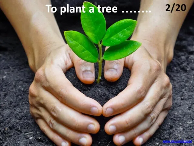 To plant a tree …….. 2/20 www.vk.com/egppt
