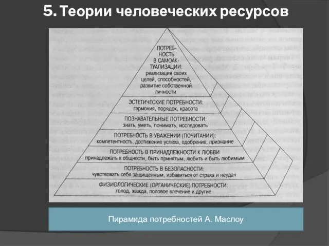 5. Теории человеческих ресурсов Пирамида потребностей А. Маслоу