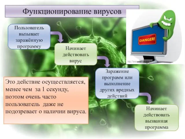 Функционирование вирусов Начинает действовать вызванная программа Пользователь вызывает заражённую программу