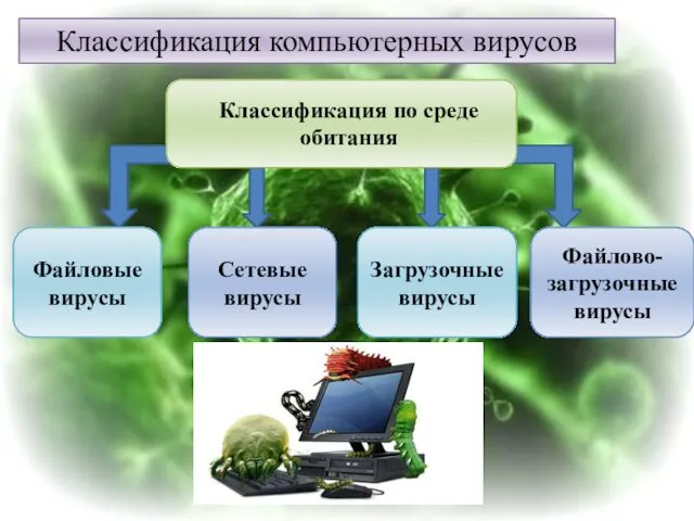 Классификация компьютерных вирусов Загрузочные вирусы Сетевые вирусы Файловые вирусы Файлово-загрузочные вирусы Классификация по среде обитания